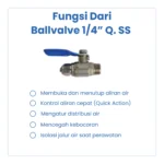 BALVALVE 1/4" Q. SS - Image 3