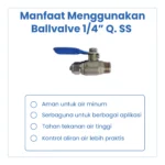 BALVALVE 1/4" Q. SS - Image 4