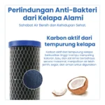 CTO 20" AB NIER - Image 4