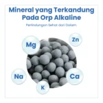 ORP ALKALINE 1 KG - Image 3