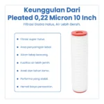 PLEATED 0,22 MICRON 10" - Image 5