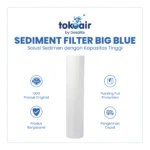 SEDIMENT FILTER BIG BLUE