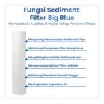 SEDIMENT FILTER BIG BLUE - Image 3