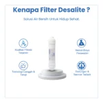 POST CARBON BIG KAPSUL - Image 2