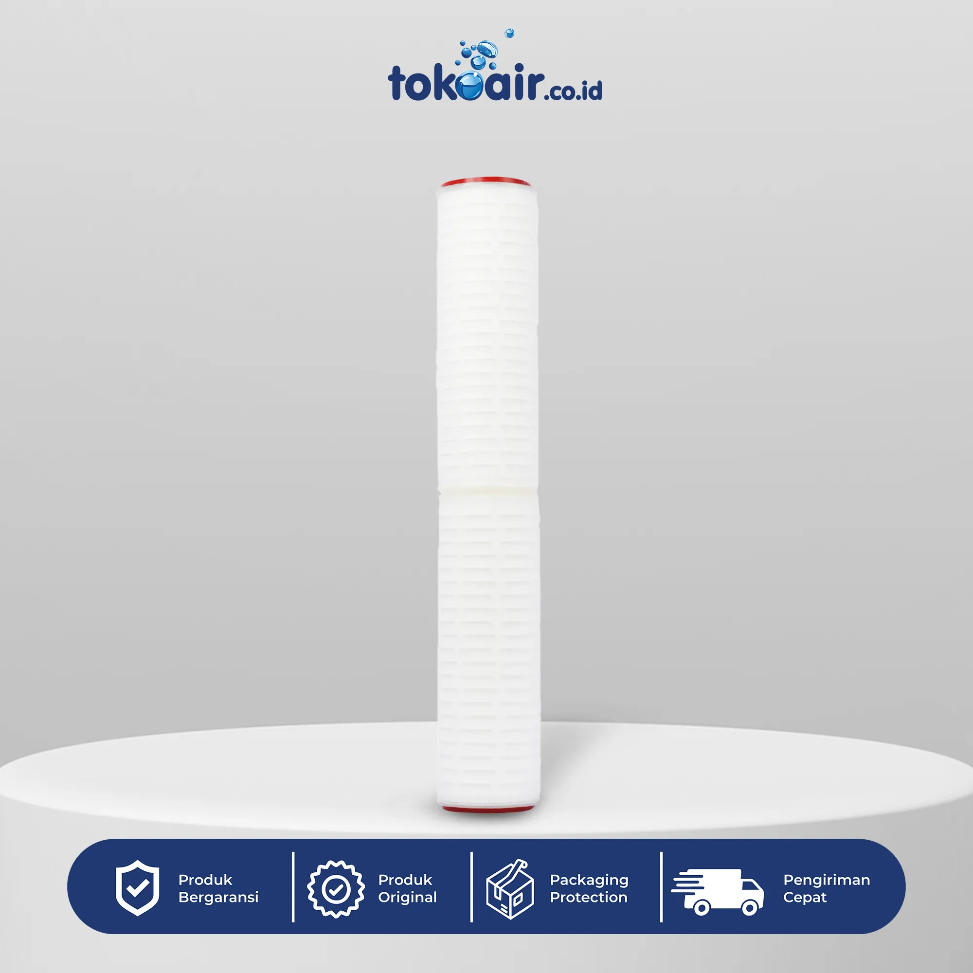 PLEATED AB 0,45 MICRON 20" Komponen mikrofiltrasi absolute pleated filter ab 0,45 micron 20 inch Desalite menyaring partikel sangat halus kotoran mikro sedimen ultra fine sistem Filter RO.