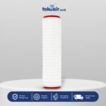 Komponen mikrofiltrasi pleated cartridge 0,22 micron 10 inch Desalite menyaring partikel halus bakteri mikroorganisme sistem Filter RO.