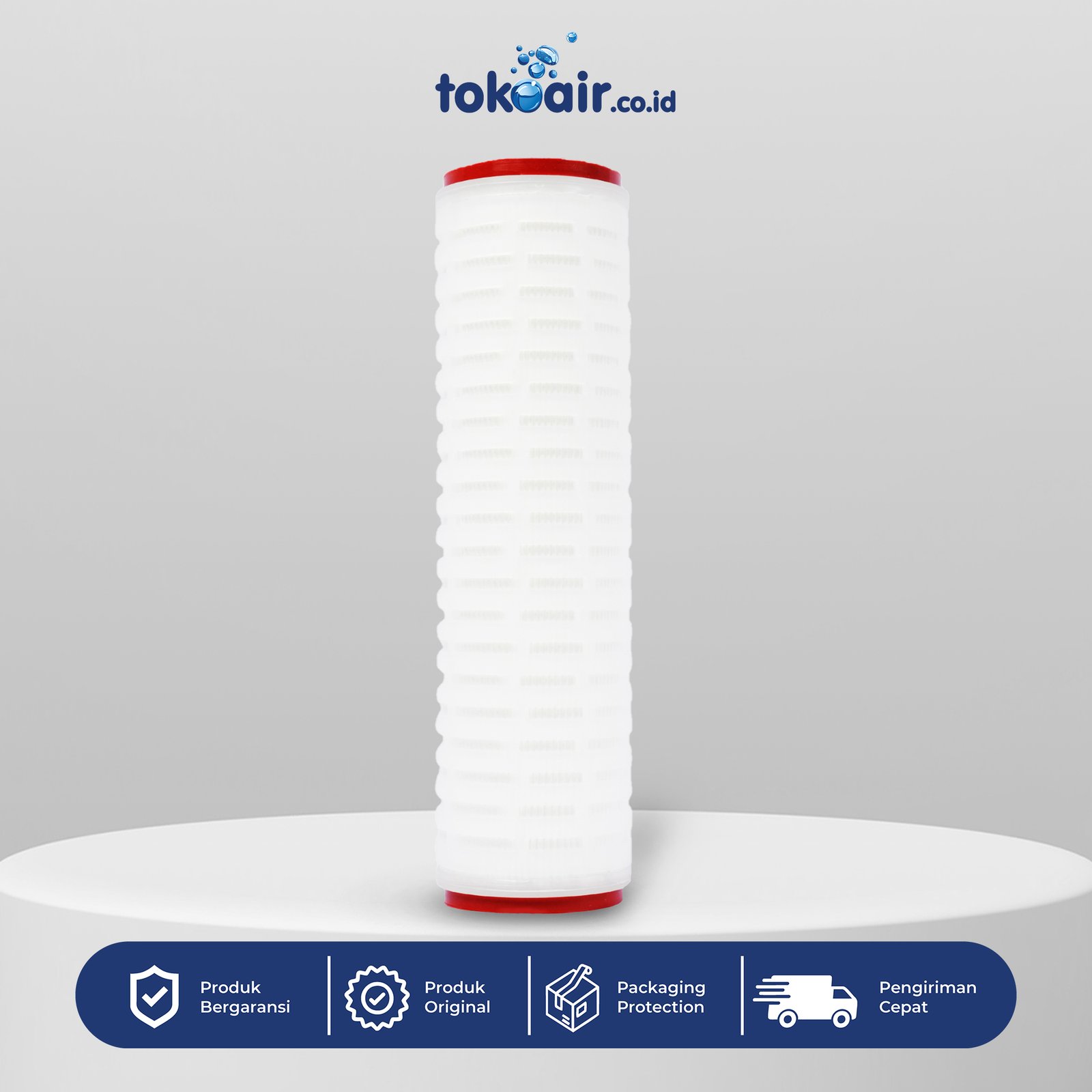 PLEATED 0,22 MICRON 10 INCH Komponen mikrofiltrasi pleated cartridge 0,22 micron 10 inch Desalite menyaring partikel halus bakteri mikroorganisme sistem Filter RO.