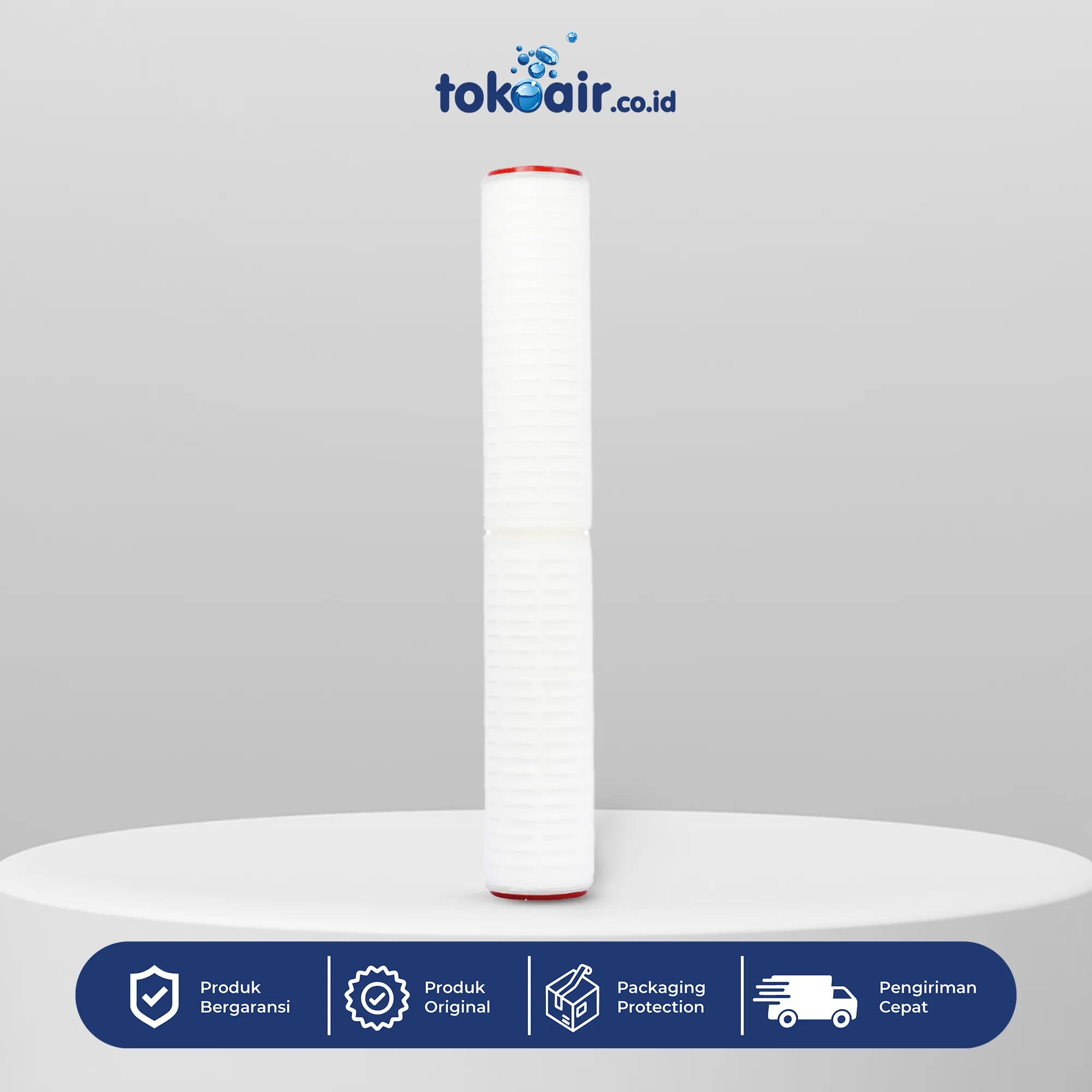 PLEATED 0,22 MICRON 20" Komponen mikrofiltrasi pleated cartridge filter presisi tinggi 0,22 micron 20 inch Desalite menyaring partikel sangat halus bakteri mikroorganisme sistem Filter RO.