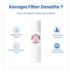 CLEAL CP FILTER 1 10" - Image 3