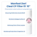 CLEAL CP FILTER 1 10" - Image 4