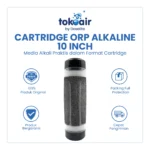 CARTRIDGE ORP ALKALINE 10 INCH UNTUK PENAMBAH PH - Image 2