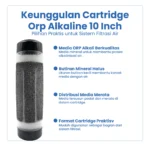 CARTRIDGE ORP ALKALINE 10 INCH UNTUK PENAMBAH PH - Image 5